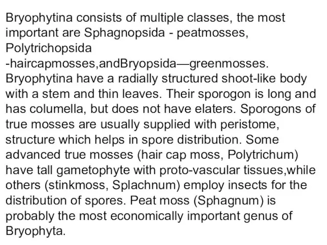 Bryophytina consists of multiple classes, the most important are Sphagnopsida -