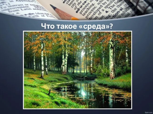 Что такое «среда»?