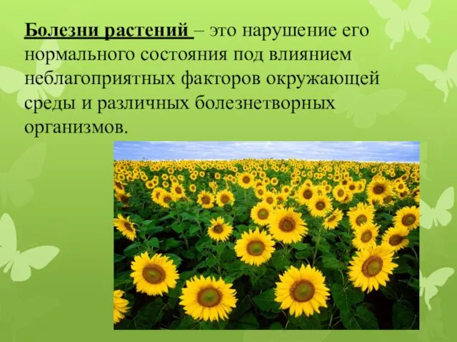 Болезни растений – это нарушение его нормального состояния под влиянием неблагоприятных