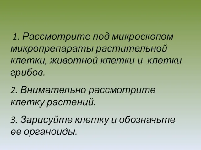 1. Рассмотрите под микроскопом микропрепараты растительной клетки, животной клетки и клетки