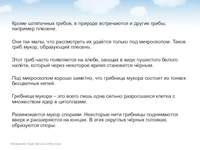 Кроме шляпочных грибов, в природе встречаются и другие грибы, например плесени.