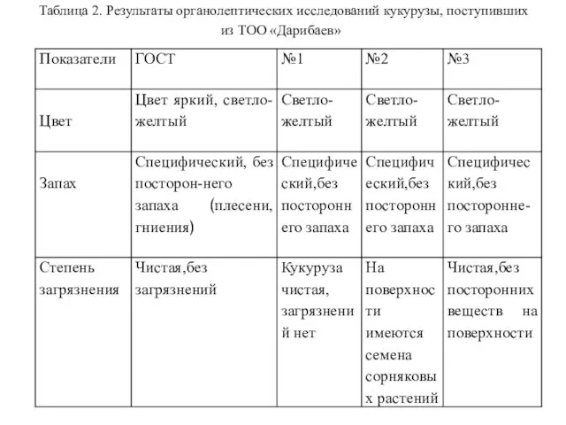 Таблица 2. Результаты органолептических исследований кукурузы, поступивших из ТОО «Дарибаев»