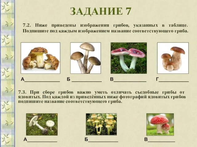 ЗАДАНИЕ 7 7.2. Ниже приведены изображения грибов, указанных в таблице. Подпишите