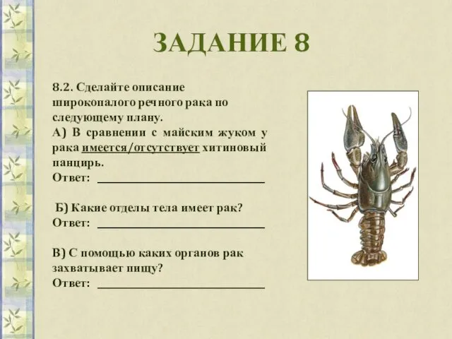 ЗАДАНИЕ 8 8.2. Сделайте описание широкопалого речного рака по следующему плану.