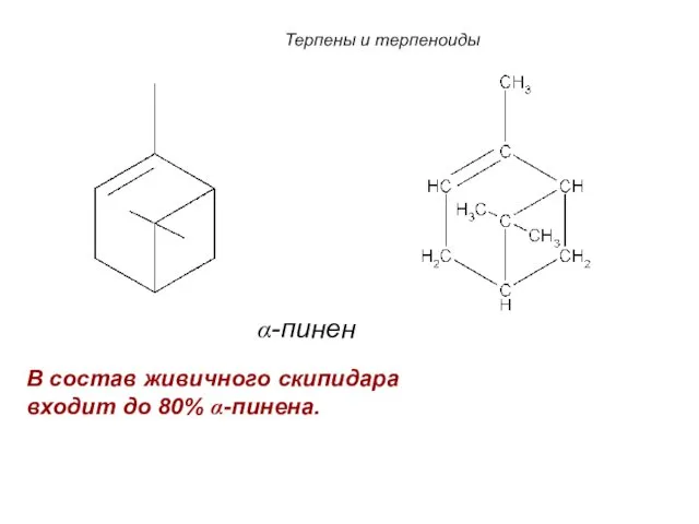 α-пинен Терпены и терпеноиды В состав живичного скипидара входит до 80% α-пинена.