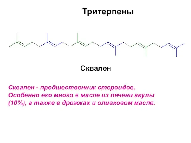 Тритерпены Сквален Сквален - предшественник стероидов. Особенно его много в масле