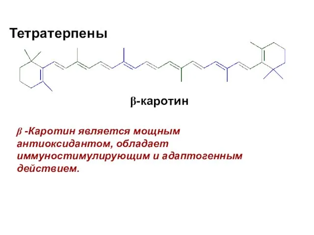 Тетратерпены β-каротин β -Каротин является мощным антиоксидантом, обладает иммуностимулирующим и адаптогенным действием.
