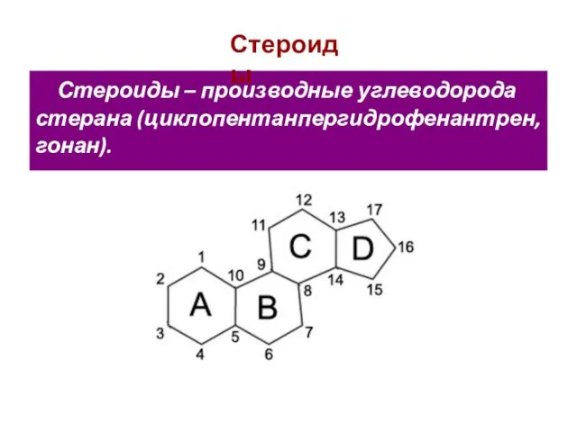Стероиды – производные углеводорода стерана (циклопентанпергидрофенантрен, гонан). Стероиды