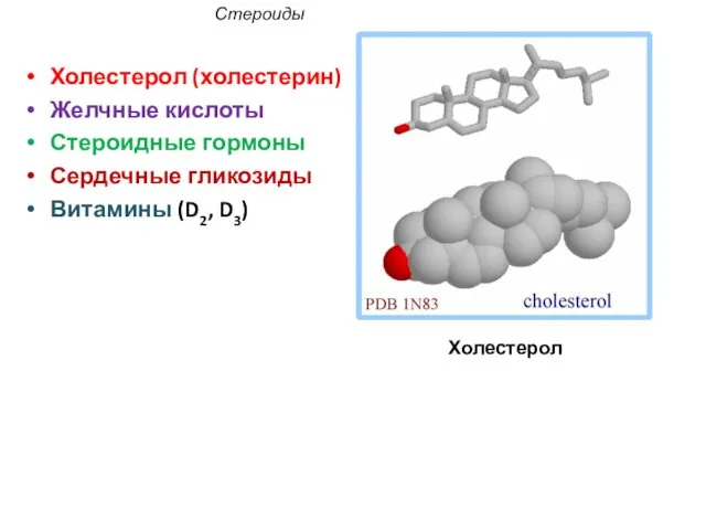Холестерол (холестерин) Желчные кислоты Стероидные гормоны Сердечные гликозиды Витамины (D2, D3) Стероиды Холестерол