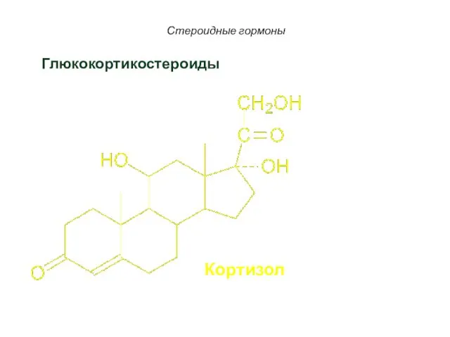 Стероидные гормоны Кортизол Глюкокортикостероиды