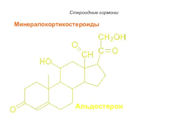 Стероидные гормоны Альдостерон Минералокортикостероиды