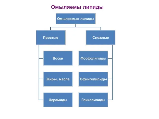 Омыляемы липиды