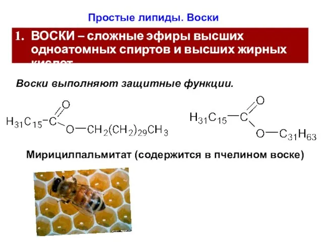 ВОСКИ – сложные эфиры высших одноатомных спиртов и высших жирных кислот.