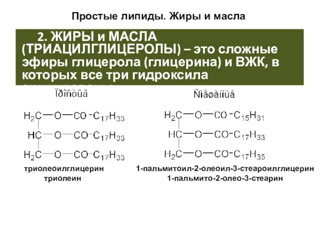 2. ЖИРЫ и МАСЛА (ТРИАЦИЛГЛИЦЕРОЛЫ) – это сложные эфиры глицерола (глицерина)