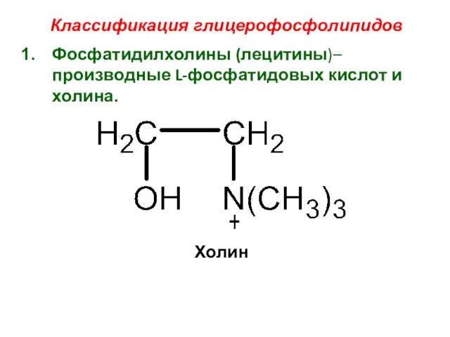 Фосфатидилхолины (лецитины)– производные L-фосфатидовых кислот и холина. Классификация глицерофосфолипидов Холин