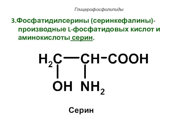 3.Фосфатидилсерины (серинкефалины)-производные L-фосфатидовых кислот и аминокислоты серин. Глицерофосфолипиды Серин