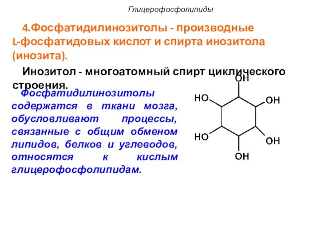 4.Фосфатидилинозитолы - производные L-фосфатидовых кислот и спирта инозитола (инозита). Инозитол -