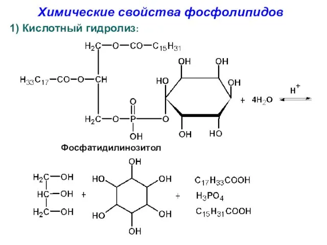 Химические свойства фосфолипидов 1) Кислотный гидролиз: Фосфатидилинозитол