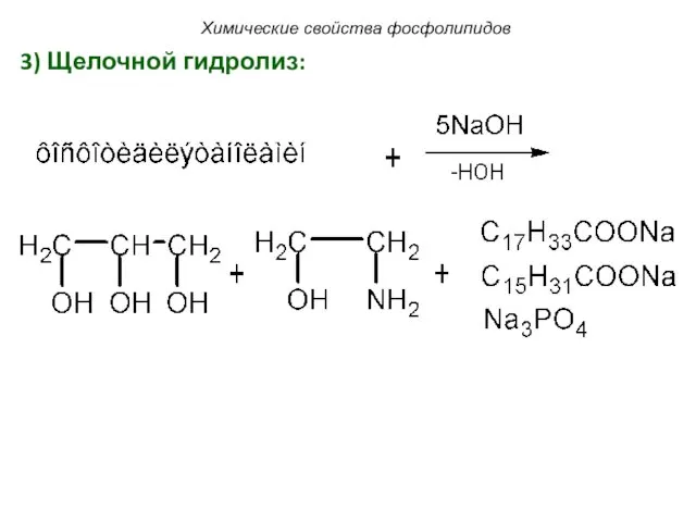 3) Щелочной гидролиз: Химические свойства фосфолипидов