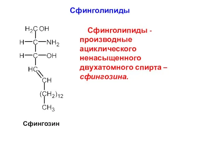 Сфинголипиды - производные ациклического ненасыщенного двухатомного спирта – сфингозина. Сфингозин Сфинголипиды