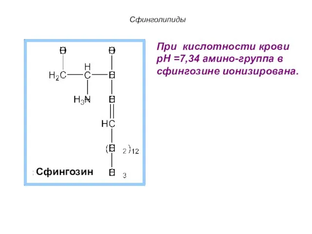 Сфингозин При кислотности крови рН =7,34 амино-группа в сфингозине ионизирована. Сфинголипиды