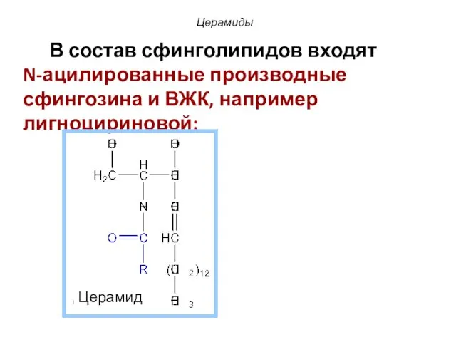 В состав сфинголипидов входят N-ацилированные производные сфингозина и ВЖК, например лигноцириновой: Церамиды Церамид