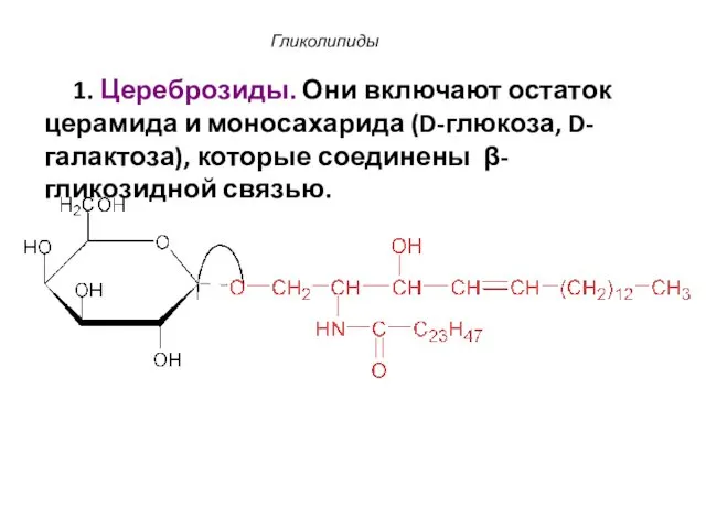 Гликолипиды 1. Цереброзиды. Они включают остаток церамида и моносахарида (D-глюкоза, D-галактоза), которые соединены β-гликозидной связью.