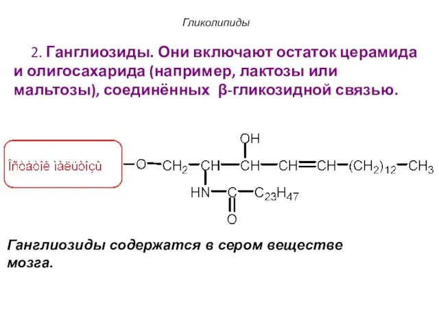 2. Ганглиозиды. Они включают остаток церамида и олигосахарида (например, лактозы или