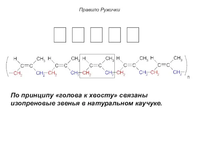 Правило Ружички  По принципу «голова к хвосту» связаны изопреновые звенья в натуральном каучуке.