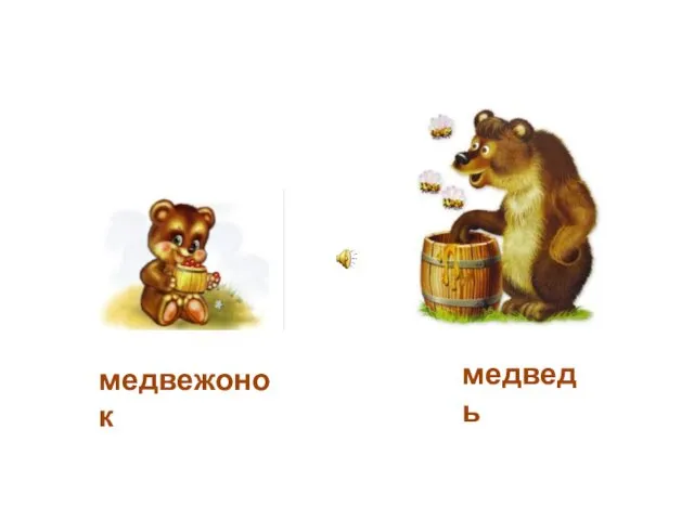 медвежонок медведь