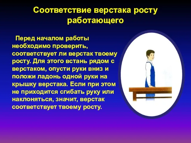 Соответствие верстака росту работающего Перед началом работы необходимо проверить, соответствует ли