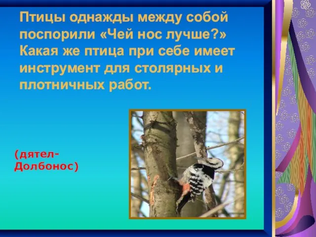 Птицы однажды между собой поспорили «Чей нос лучше?» Какая же птица