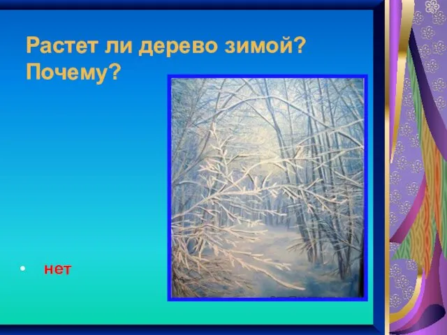 Растет ли дерево зимой? Почему? нет