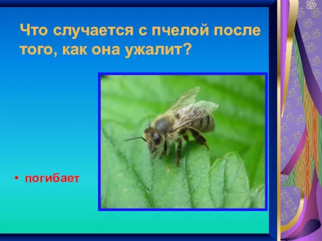 Что случается с пчелой после того, как она ужалит? погибает