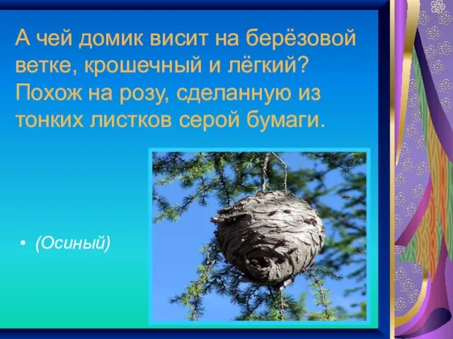 А чей домик висит на берёзовой ветке, крошечный и лёгкий? Похож