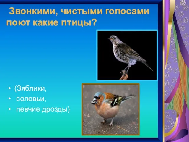 Звонкими, чистыми голосами поют какие птицы? (Зяблики, соловьи, певчие дрозды)