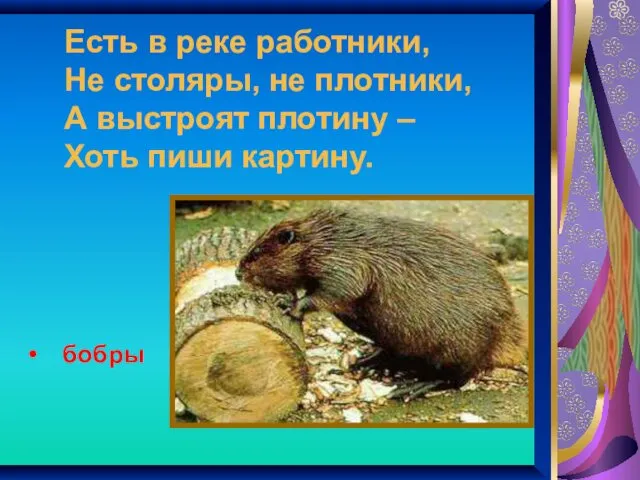 Есть в реке работники, Не столяры, не плотники, А выстроят плотину – Хоть пиши картину. бобры