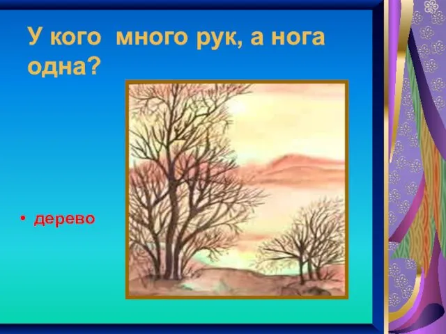 У кого много рук, а нога одна? дерево