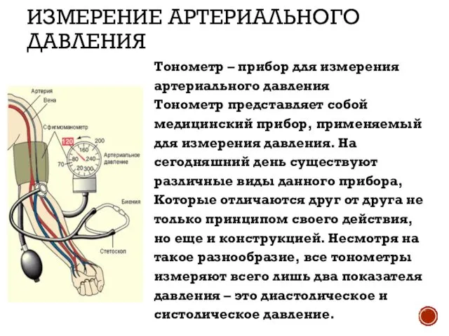 ИЗМЕРЕНИЕ АРТЕРИАЛЬНОГО ДАВЛЕНИЯ Тонометр – прибор для измерения артериального давления Тонометр