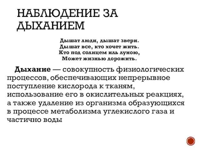 НАБЛЮДЕНИЕ ЗА ДЫХАНИЕМ Дышат люди, дышат звери. Дышат все, кто хочет