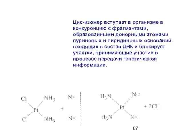 Цис-изомер вступает в организме в конкуренцию с фрагментами, образованными донорными атомами