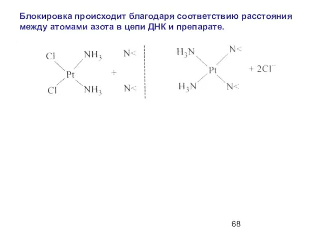 Блокировка происходит благодаря соответствию расстояния между атомами азота в цепи ДНК и препарате.