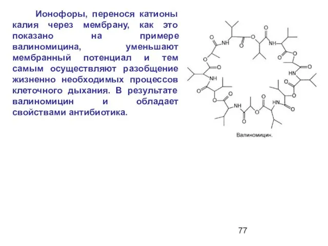 Ионофоры, перенося катионы калия через мембрану, как это показано на примере