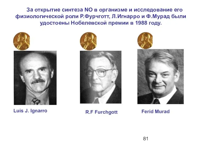 За открытие синтеза NO в организме и исследование его физиологической роли