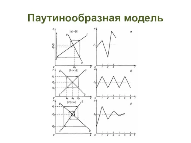 Паутинообразная модель