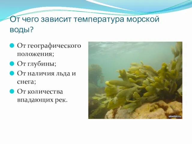 От чего зависит температура морской воды? От географического положения; От глубины;