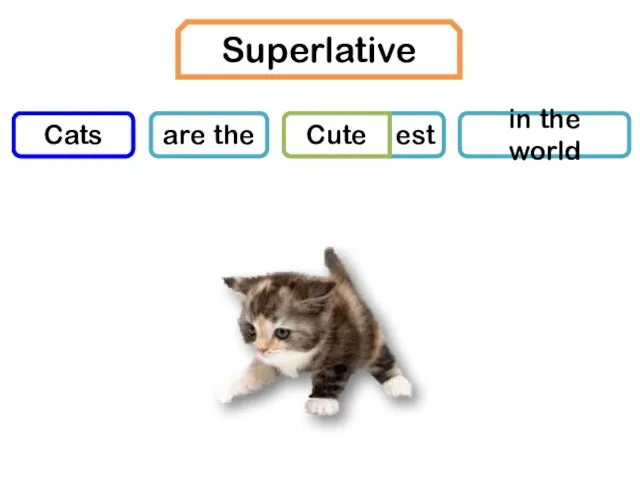 Noun 1 are the Adj. est Cats Cute in the world Superlative