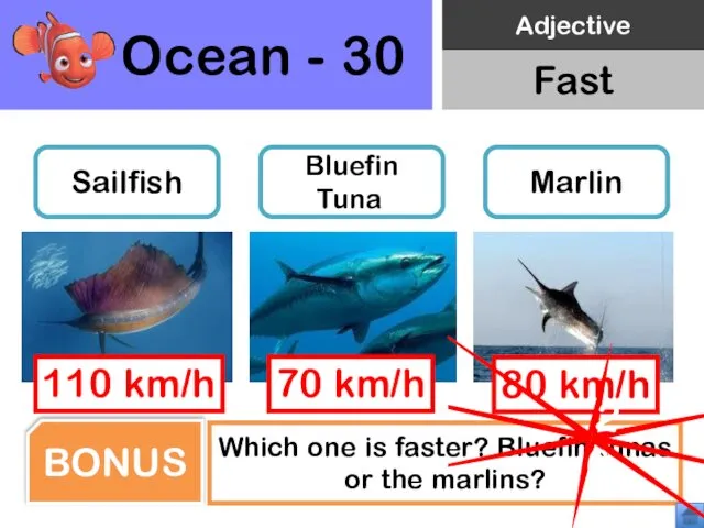 Ocean - 30 Sailfish Bluefin Tuna Marlin Which one is faster?