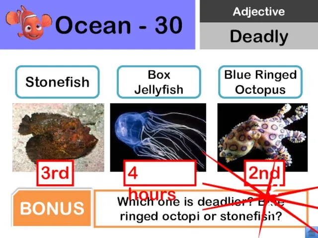 Ocean - 30 Stonefish Box Jellyfish Blue Ringed Octopus Which one