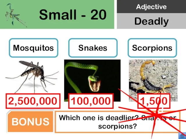 Small - 20 Mosquitos Snakes Scorpions Which one is deadlier? Snakes